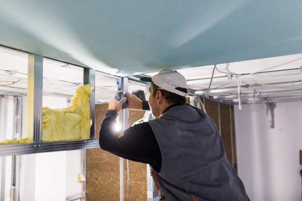 Best Spray Foam Insulation in Shackle Island, TN