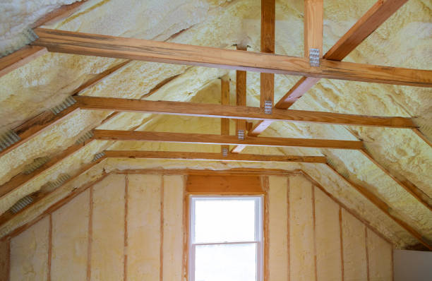 Best Blown-in Insulation in Shackle Island, TN