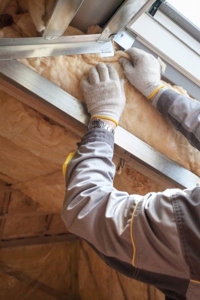 Best Geographic-Specific Insulation Services in Shackle Island, TN
