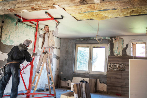 Types of Insulation We Offer in Shackle Island, TN