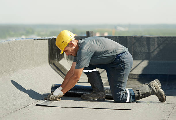 Best Specialized Insulation Services in Shackle Island, TN