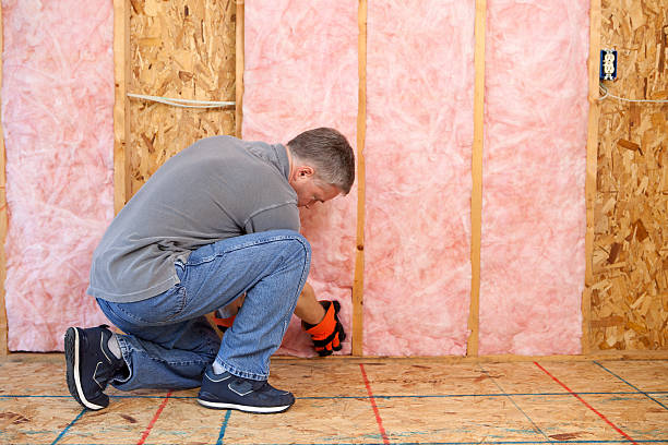 Best Insulation Maintenance and Repair in Shackle Island, TN