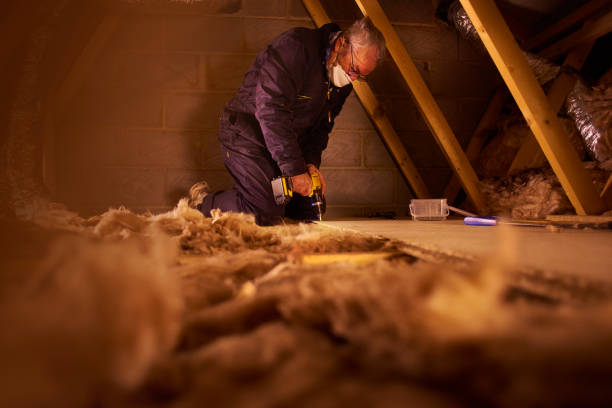 Best Insulation for Specific Applications in Shackle Island, TN